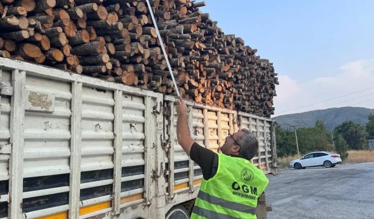 bilecik-pazaryerinde-orman-emvali-denetimi-K4UGykXl.webp