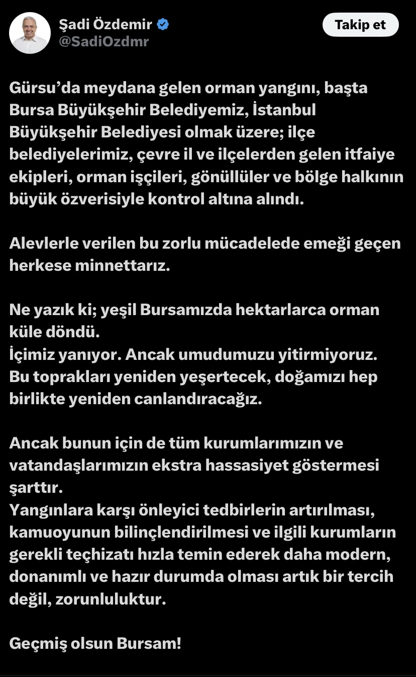 Yanan ormanlar ve yeniden yeşertme çalışmaları