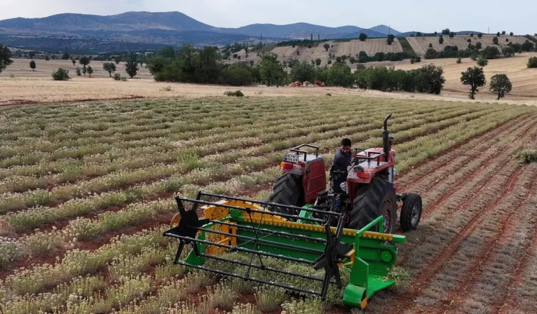 konyada-kurakliga-dayanikli-bitkilerle-tarim-destekleri-artiyor-YK2eXGdE.webp