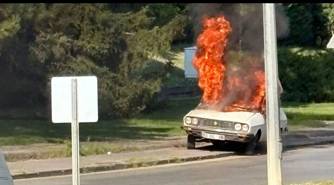 Kamuoyundaki yankılar