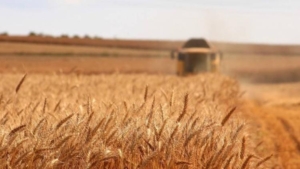 icra-yoluyla-satisa-cikarilan-turkiye-genelindeki-tarim-varliklari-3327-tarla-211-bag-32-traktor-DKRnpACr.jpg