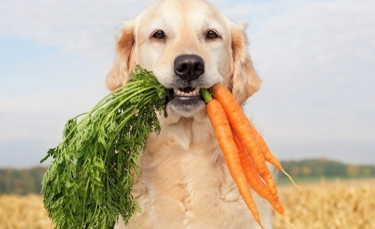 WhatsApp Image 2026-02-10 at 20.04.01