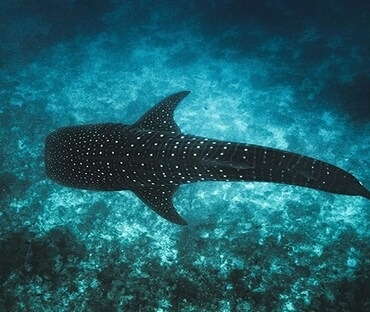 WhatsApp Image 2026-02-11 at 10.13.44